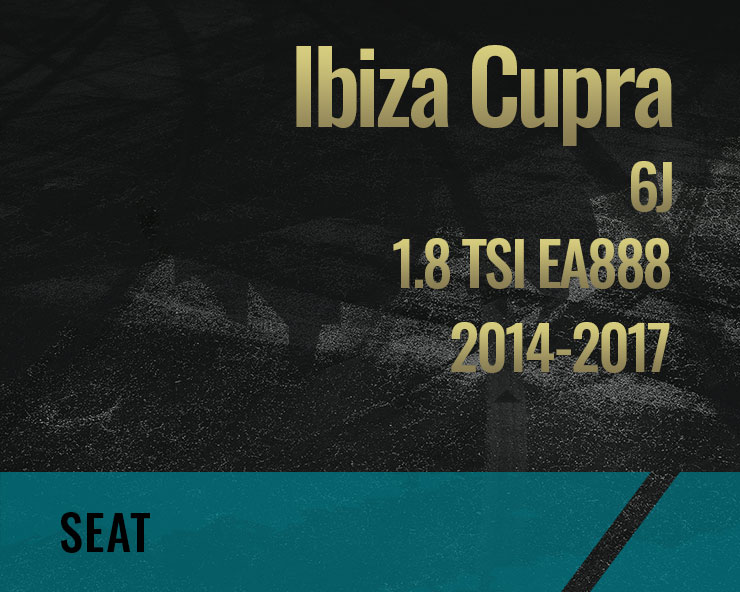 Ibiza Cupra, 1.8 TSI (6J)